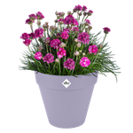 loft urban rond 25cm lavendel lila